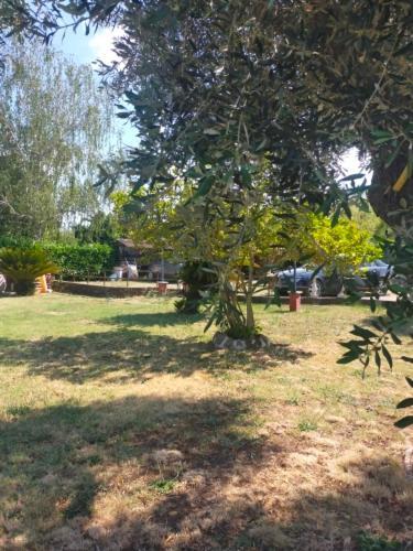 Independent Villa With Private Beach On The Lake Bracciano  Dış mekan fotoğraf
